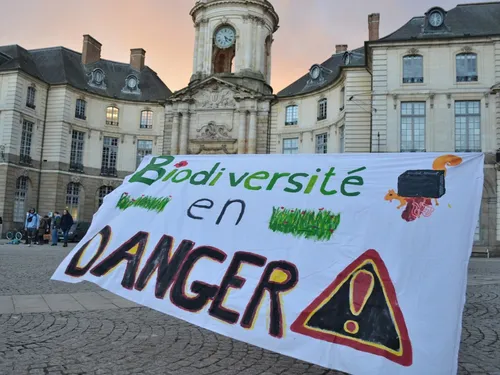 Non au bitume : à Rennes, ils sont contre des projets d'urbanisation !